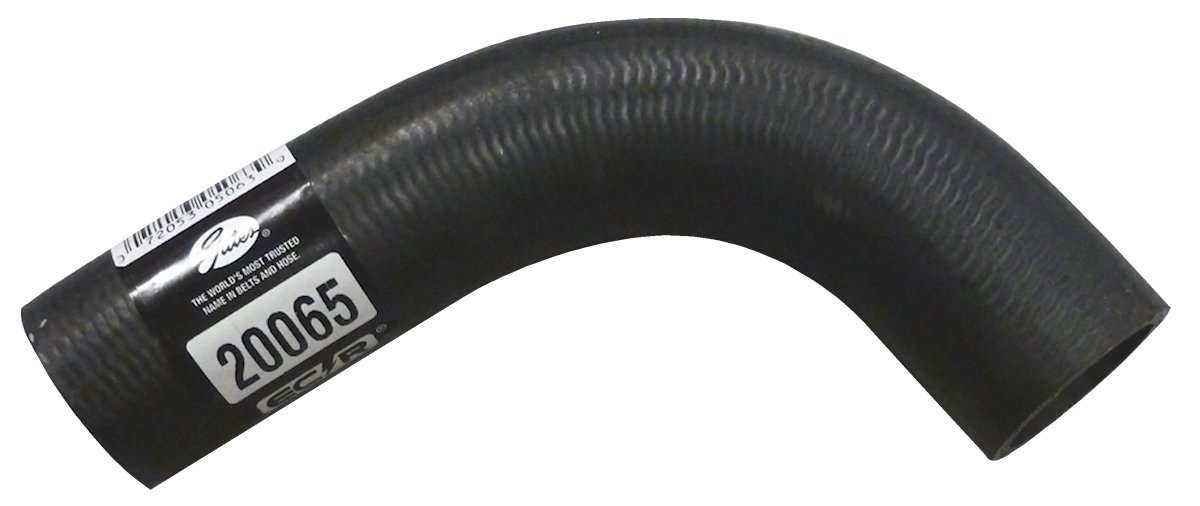 Radiator Hose V-8, upper 289