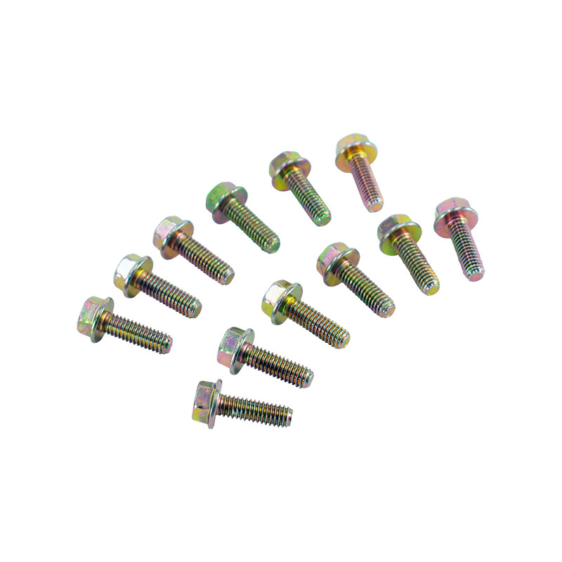 Door Hinge Bolt Kit 73-79 (Two hinge)