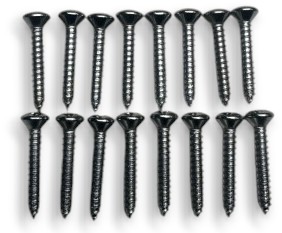 Complete Bronco Threshold Moulding Screws, (16) Chrome
