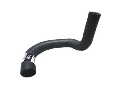 Radiator Hose 6cyl, Lower