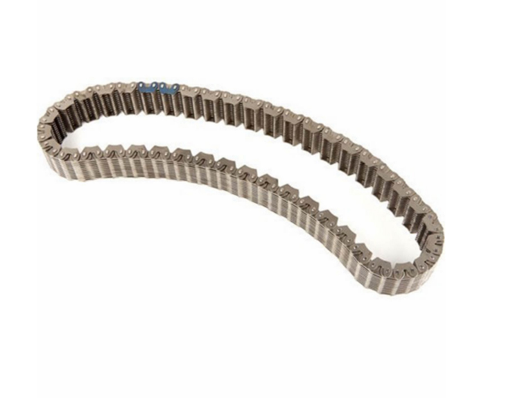 BW4417 Transfer Case Chain