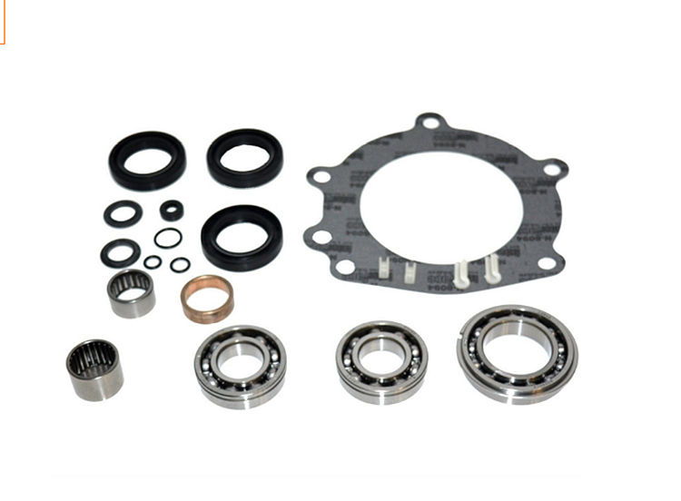 BW1354 Bearing & Seal Kit