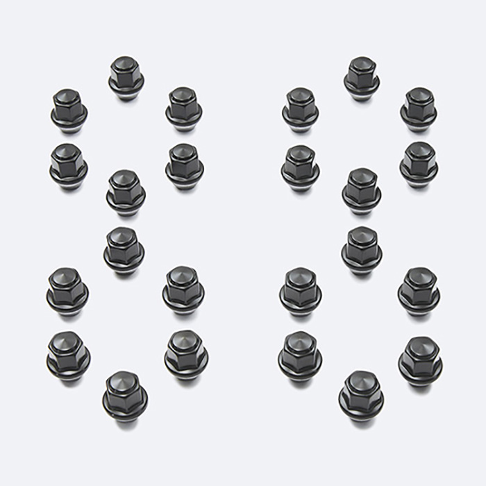 2015-2021 F-150 Lug Nut Kit of 24