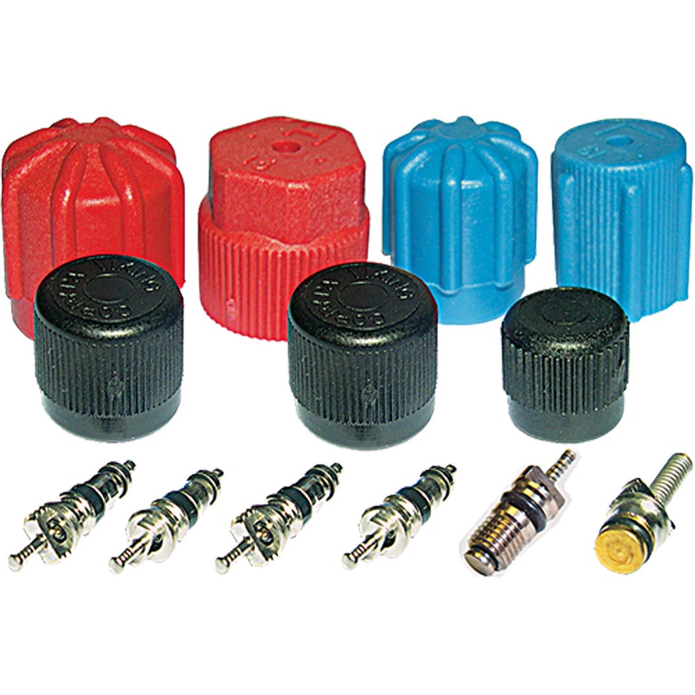 Cap and Valve Kit