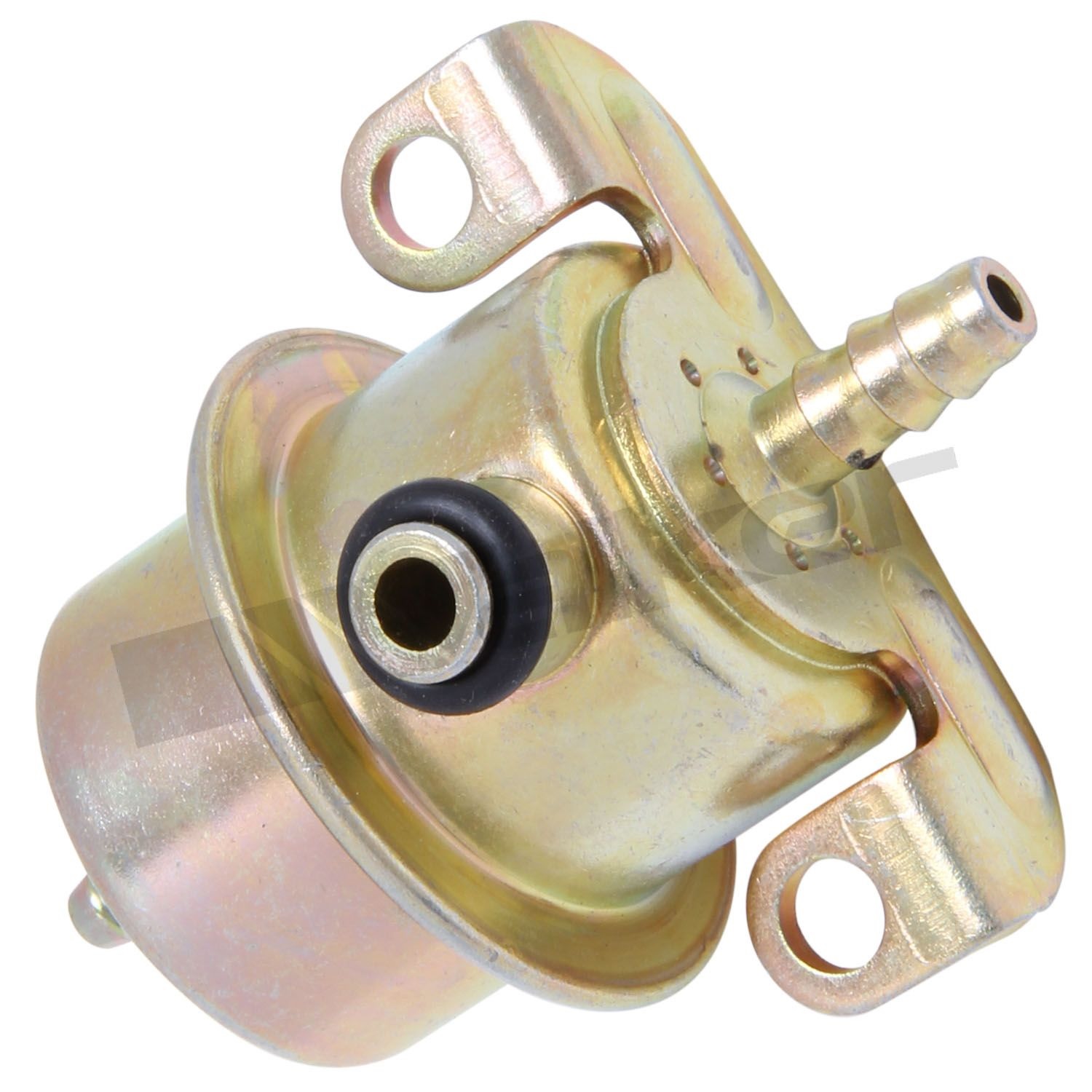 Fuel Injection Pressure Regulator