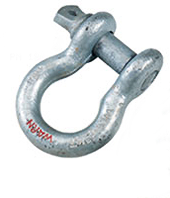 Warn Clevis D-Shackle - 3/4